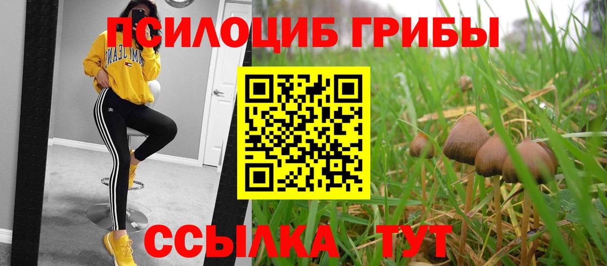 Галлюциногенные грибы мухоморы  Галлюциногенные грибы GOLDEN TEACHER  Россошь  Вход с VPN 