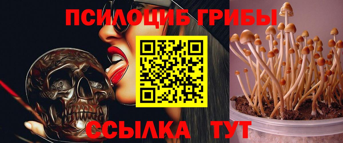 Псилоцибиновые грибы ЛСД Россошь